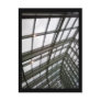 window on the sky :: adler planetarium