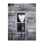 Window Post Card