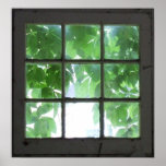 Window posters