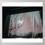 Window posters