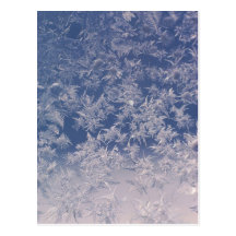 Window Snowflakes Post Card
