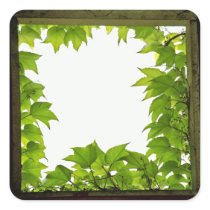 Window Sticker