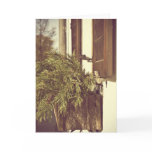 Windows...greetingcard