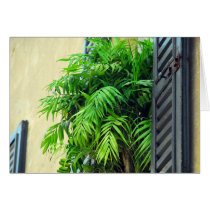 Windowsill Greeting Card