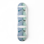 Windsurfing Fun Skateboard