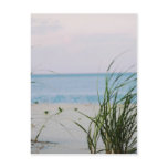 Windswept Postcards