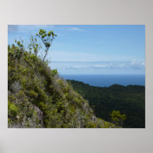 Windy Canyon Lookout Poster/Print