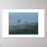 windy day posters
