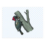 Windy Woodpecker Post Card