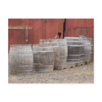 Wine Barrels Post Cards