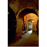 Wine cellar in Montepulciano, Tuscany, Italy photo sculptures