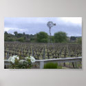 Wine Country posters