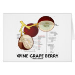 Wine Grape Berry (Anatomy) cards