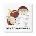 Wine Grape Berry (Anatomy) magnets