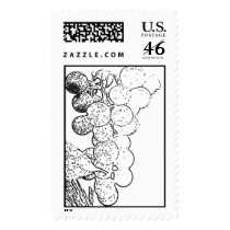 Wine Grapes stamps