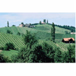 Wine route in Southern Syria, Austria at the Corni Acrylic Cut Outs