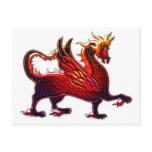 winged fire dragon postcards