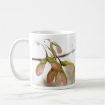 Winged Maple Seed Pods Coffee Mugs