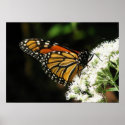 Wings 2 Fly posters
