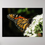 Wings 2 Fly Posters