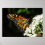 Wings 2 Fly Posters