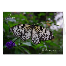 'wings could whisk you..' Greeting Card