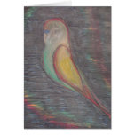 Wings of colour