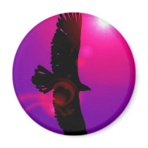 Wings of Eagle Magnets