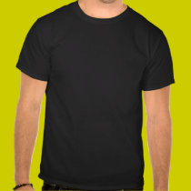 wing's of earth t-shirts