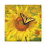 Wings of summer, magnets