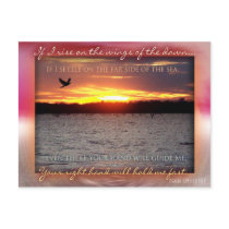 Wings of the Dawn postcard