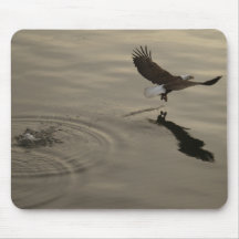 Wings Over Water (W.O.W.) Mouse Mats