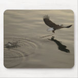 Wings Over Water (W.O.W.) Mouse Mats