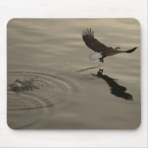 Wings Over Water (W.O.W.) Mouse Mats