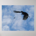 Wings posters