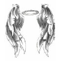 Wings Tee for Women t-shirts