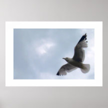 Wingspan Print