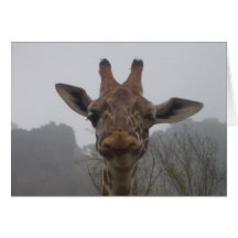 Winking Giraffe Greeting Card