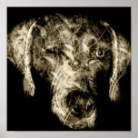 winking weimaraner posters