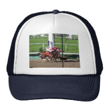 Winner By A Nose Hat