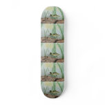 Winning Art By B. Selby Grade 4 skateboards