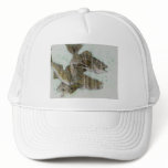 Winning Art By C. Janson Grade 8 hats