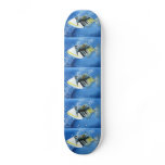 Winning Art By J. Varpucanskis Grade 6 skateboards