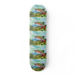 Winning Art By T. Phillips Grade 4 skateboards