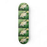 Winning artwork by M. Sone, Grade 10 skateboards