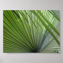 "Winnow" Print