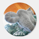 Winston The Cat    See YA Refrigerator Magnet