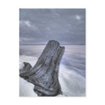 winte rshore postcards