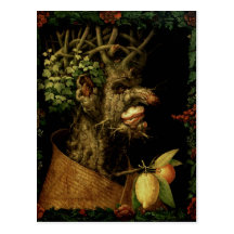 Winter, 1573 postcards