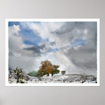 Winter above , poster